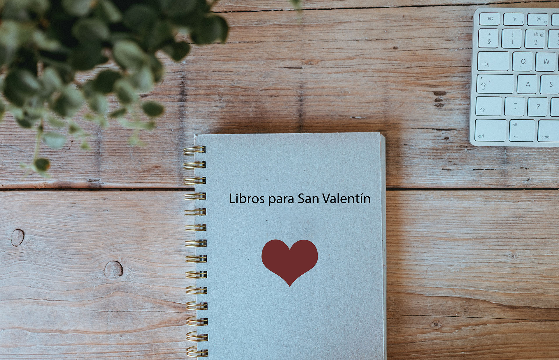 14 de febrero: 5 libros para regalar el Día de San Valentín